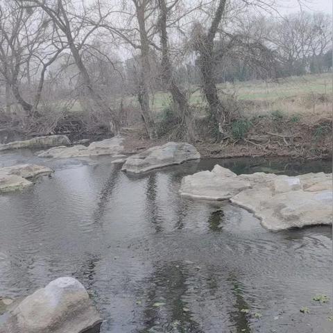 桂林大河圩村有几个姓相关长尾关键词有哪些