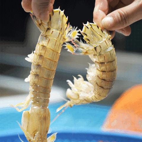 无锡市哪里买海鲜便宜