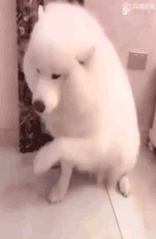 怎么应对爱装哭的戏精宝宝