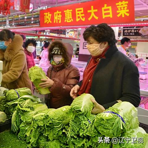 沈阳跨境生鲜物流多少钱