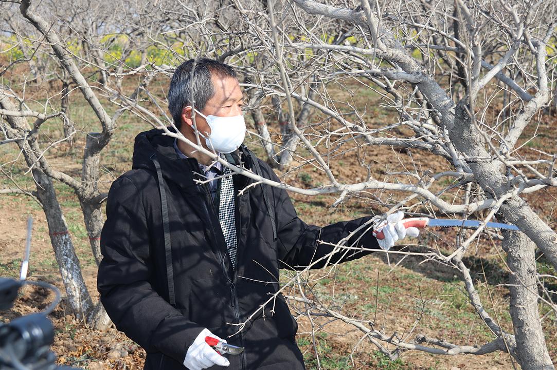 陕西app拉新哪家好(西安新能源车牌号自编自选流程)