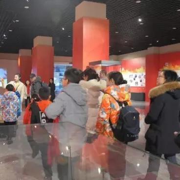 亥猪的五行属火(火猪命五行缺什么)