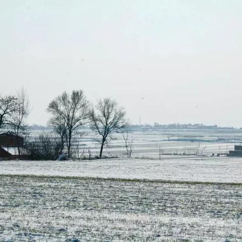 2025.12.1西安今日气温变化情况