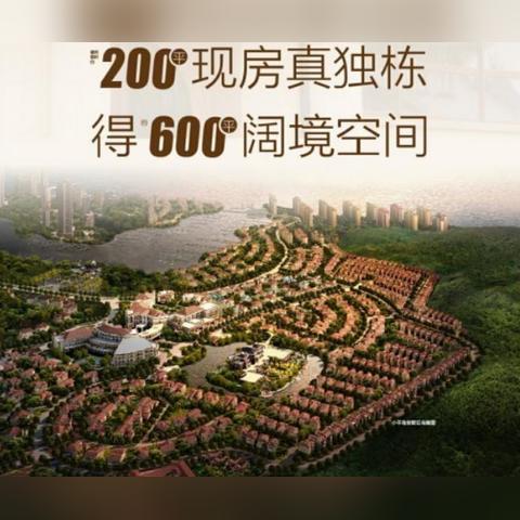 大连市山上都有什么树种