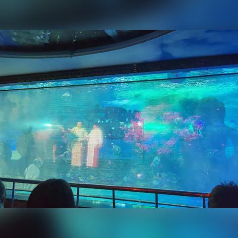 济南大明湖海底世界怎么样相关长尾关键词有哪些