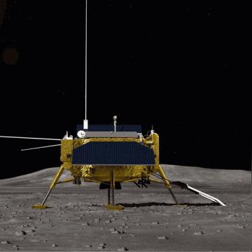 宁波市嫦娥中心学校怎么样