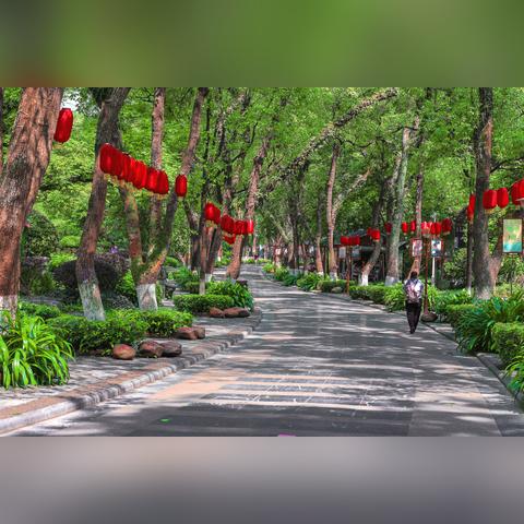 桂林市七星公园在哪里