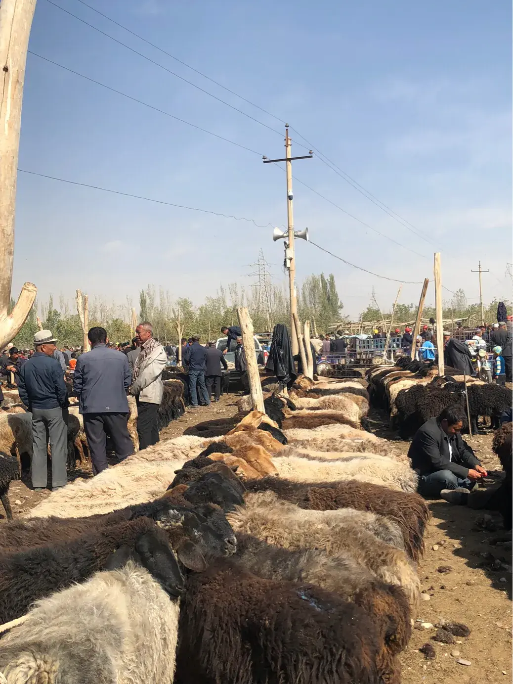 如何用chatgpt分析一只股票(快手一只璐多大)