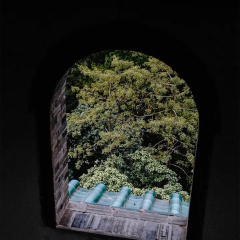 南宁市四十高中校区怎么样