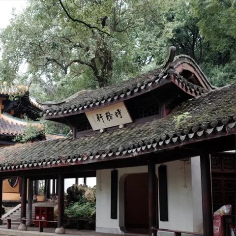 长沙茶颜悦色四杯相关长尾关键词有哪些