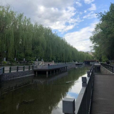 哈尔滨市湘江路是哪个区