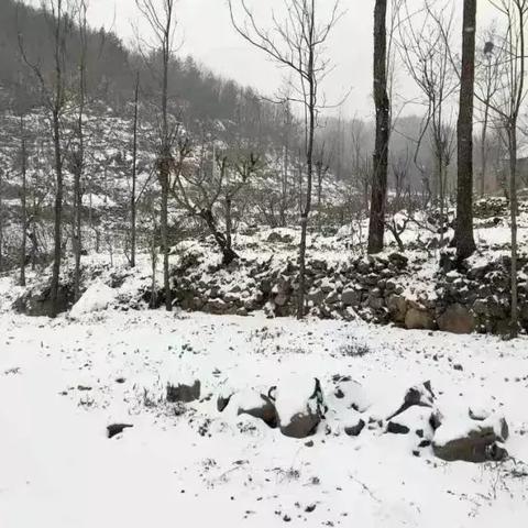 武汉市车辆什么时候限号