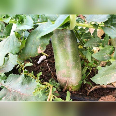 【天津冬天早上】相关长尾关键词有哪些