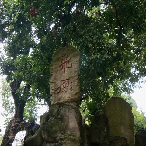 深圳市暴走村是哪个镇的