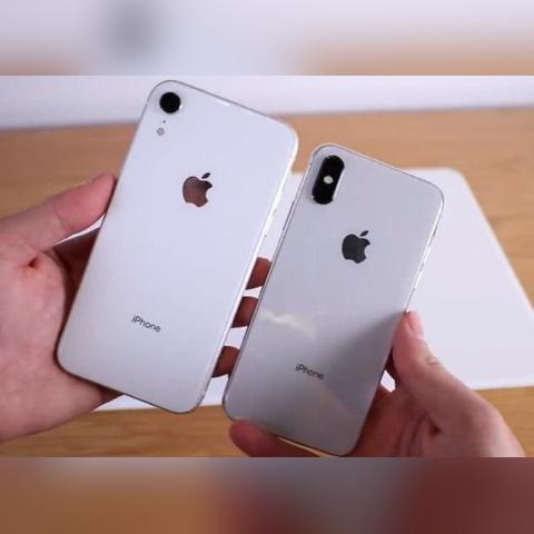 你的寿命真的能被算出来吗？听听真相