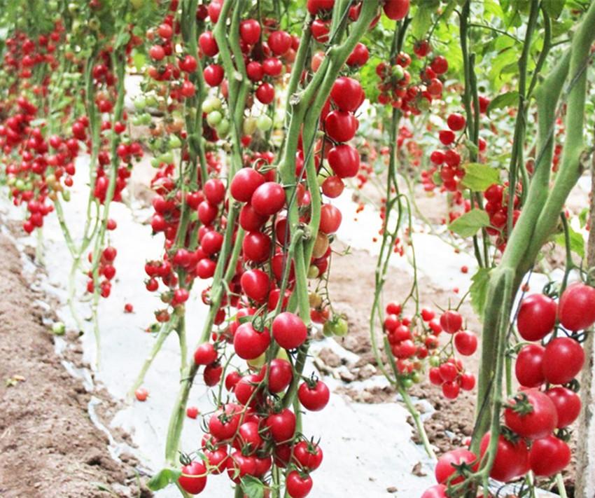 自己赚钱(有什么不起眼的却赚钱的小生意)