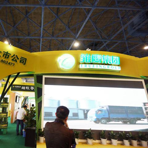 河南雏鹰农牧公司怎么样