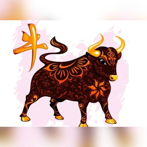 4月8日每日生肖运势查询(2021年4月8日运势)