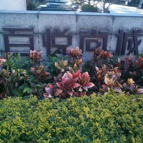 东莞市二手房几年可出售的长尾关键词有哪些