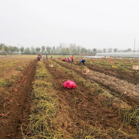 邯郸市去哪里买特产