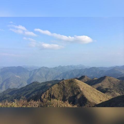 下载大丰区天气预报的长尾关键词有什么