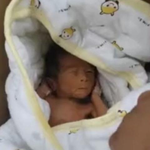 济南活埋男婴相关长尾关键词有哪些