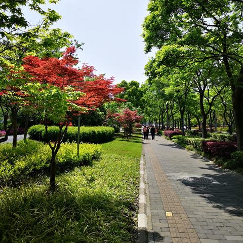 上海免费垂钓区有哪些