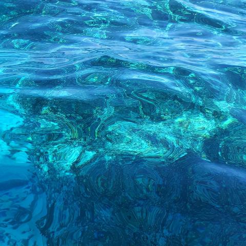 武汉浪尖鱼竿的长尾关键词有哪些