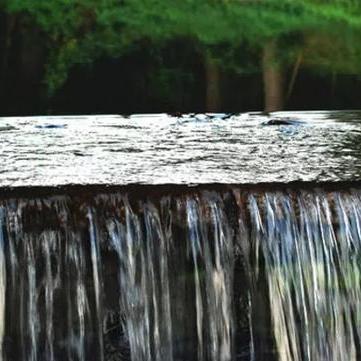 温州市植被分布情况图的长尾关键词有哪些