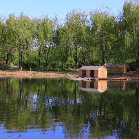 沈阳市36中学哪个区好