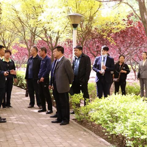 石家庄市旅游协会在哪里
