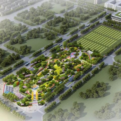 合肥市养老服务包括什么