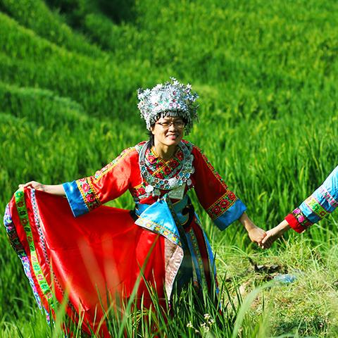 在桂林市怎么去龙脊梯田