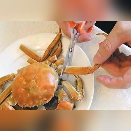 新捅肚脐文章大全的长尾关键词是什么