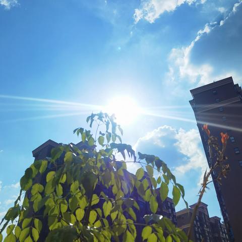 长沙几月份开始热起来？