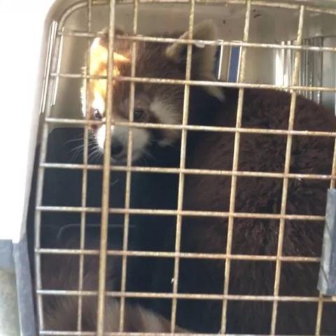 南通市市民卡在哪里办