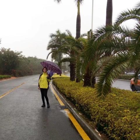 厦门之旅有感的相关长尾关键词有哪些