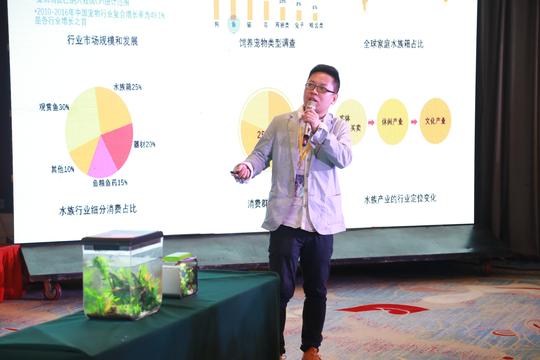 2017-2018iiec国际创新创业大赛总决赛路演回顾震撼来袭！
