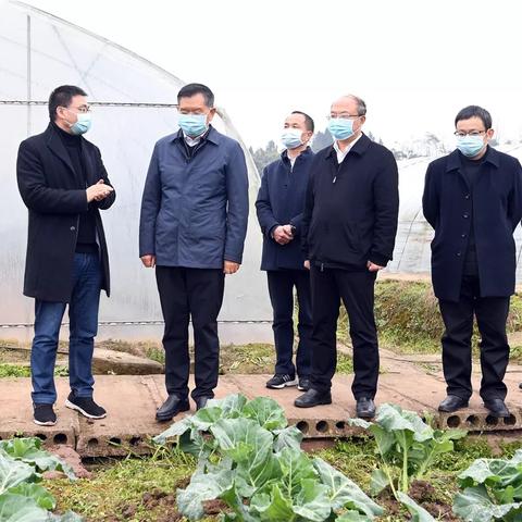 石家庄市广安街大棚的长尾关键词有什么