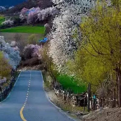 哈尔滨飞拉萨机票相关长尾关键词有哪些