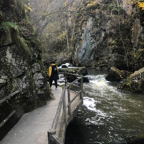 鹤岗到哈尔滨多少公里？