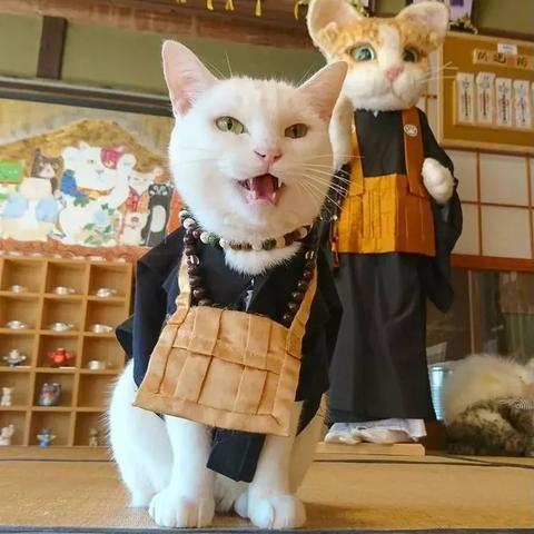 天堂寺属于哪个省？