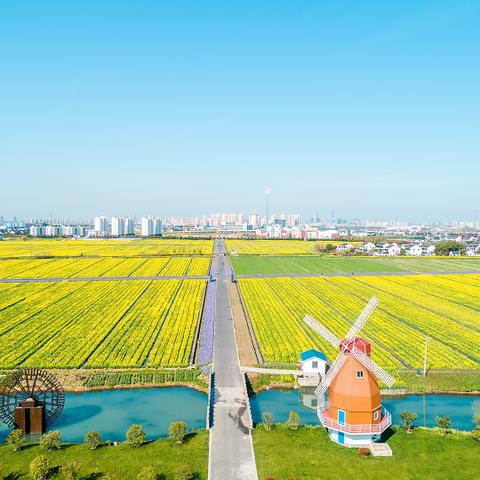 [苏州计金花]长尾关键词有什么