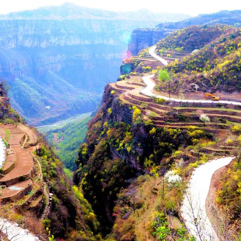 冬季河南种什么中药材好