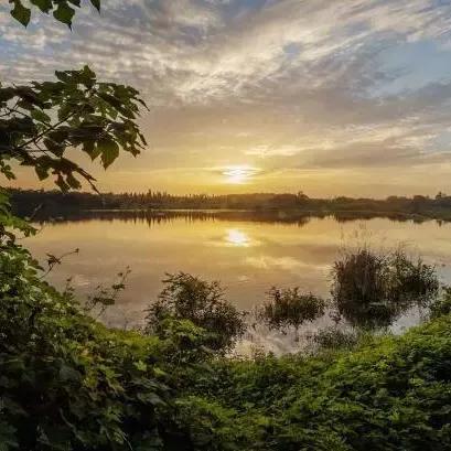 成都市哪里有歌舞厅开业