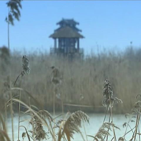 流光飞舞舞蹈/流光飞舞舞蹈视频分解动作