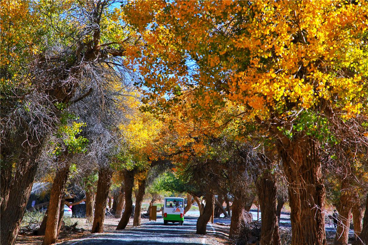 内蒙疫情最新情况 最新消息
,内蒙疫情最新情况 最新消息今天 内蒙疫情最新情况 最新消息
,内蒙疫情最新情况 最新消息今天
