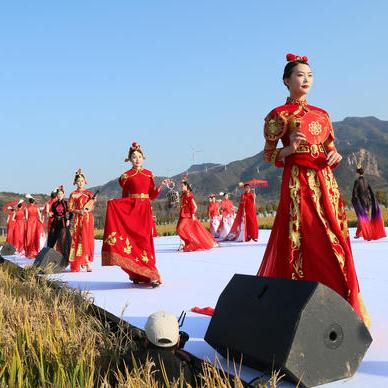为什么洛阳在国际上的知名度美誉度好感度始终遥遥领先？