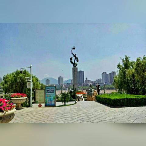 兰州市哪里批发鲜花