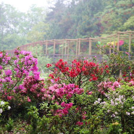 武汉市什么山好玩一点儿